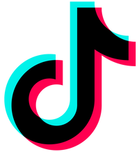 TikTok Ads